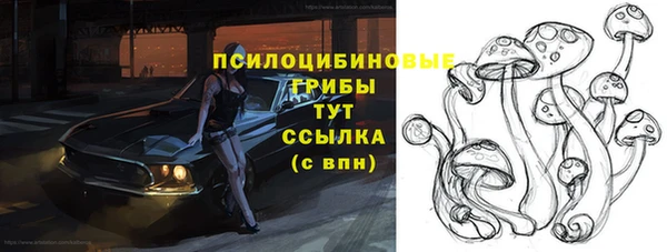 эйфоретик Сатка