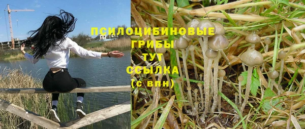 mdpv Абдулино
