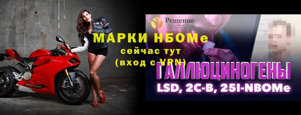 сатива Елизово