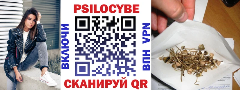 Галлюциногенные грибы Psilocybine cubensis  Рыльск 